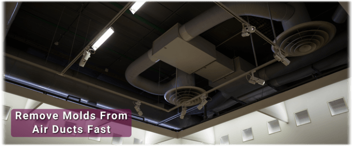 Air Duct Mold Removal in Murrieta CA